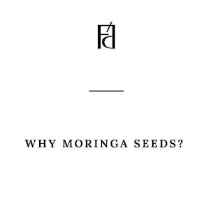 The power of Moringa Seeds