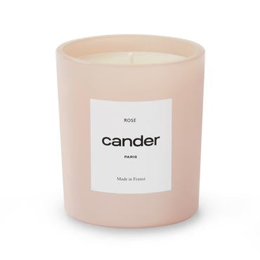 Cander Rose
