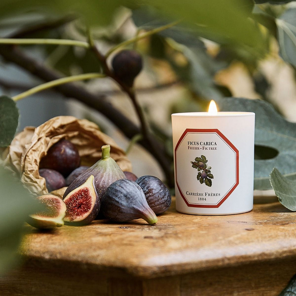 Carrière Frères - Fig Tree Candle