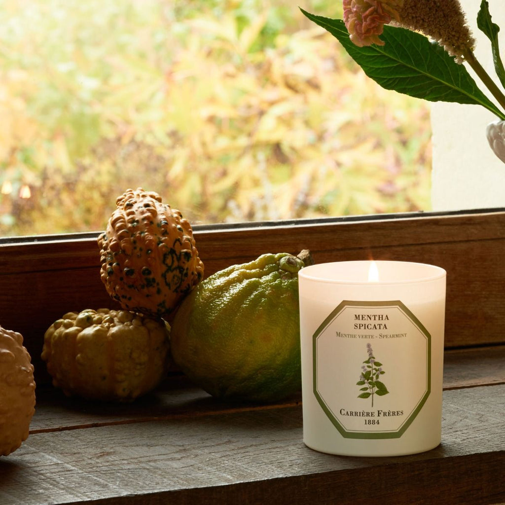 Carrière Frères - Spearmint Candle