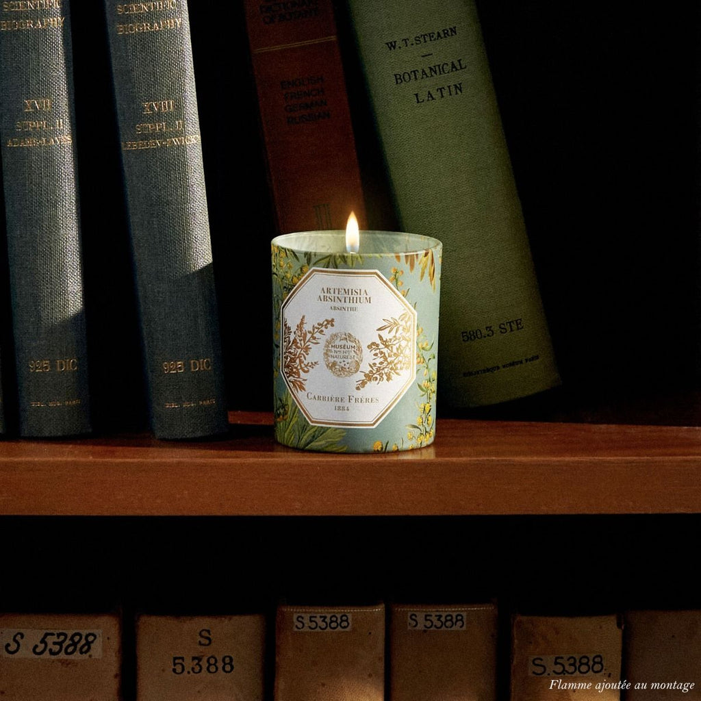 Carrière Frères - Absinthe Candle