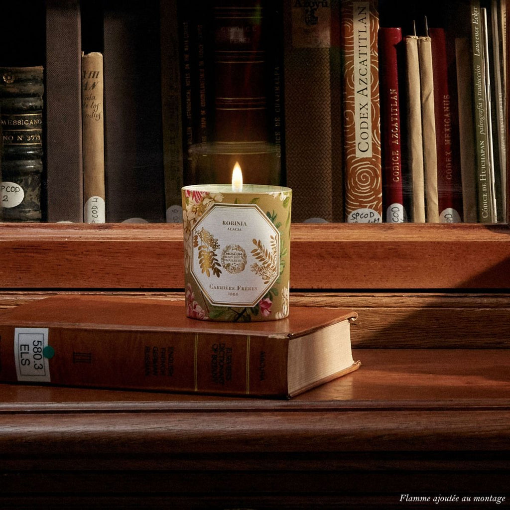 Carrière Frères - Acacia Candle