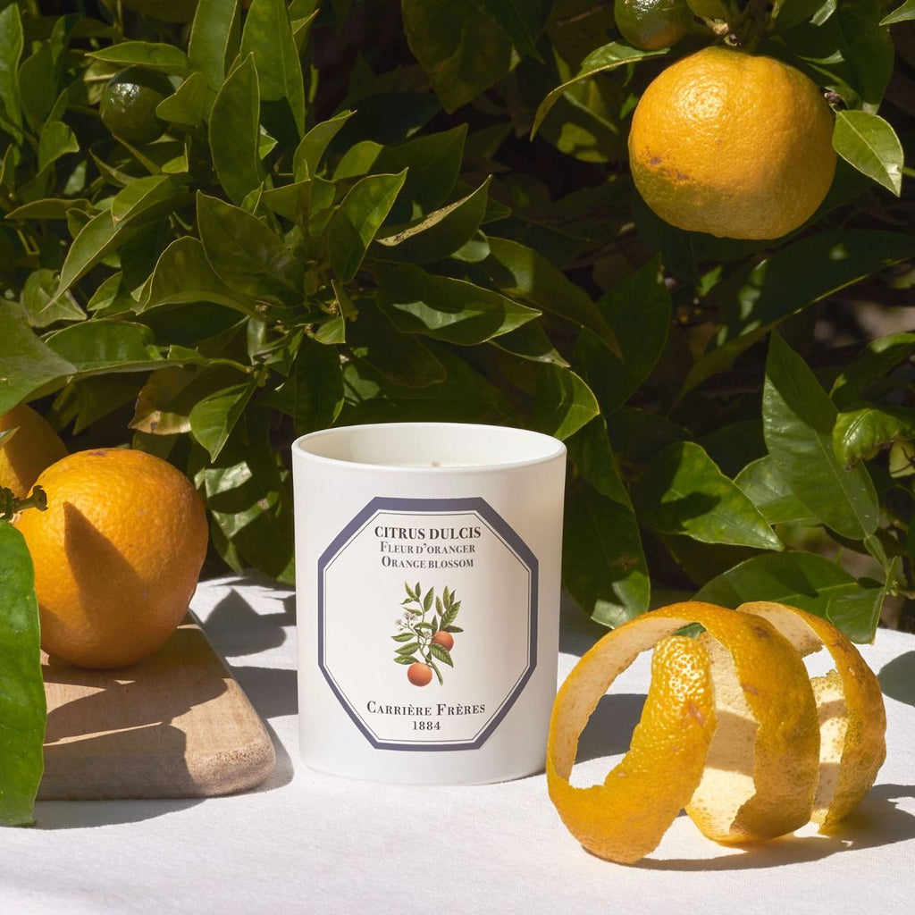 Carrière Frères - Orange Blossom Candle