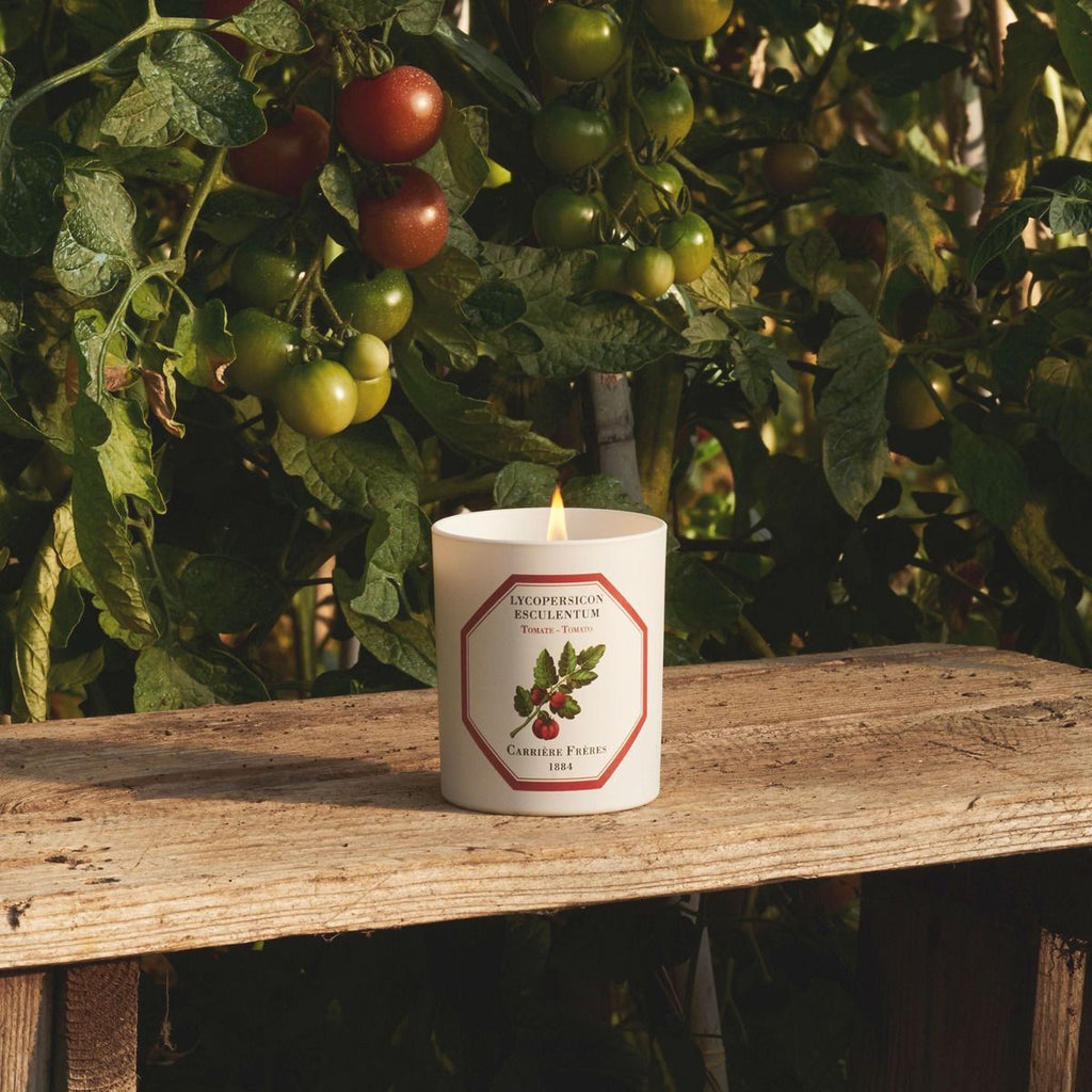 Carrière Frères - Tomato Candle
