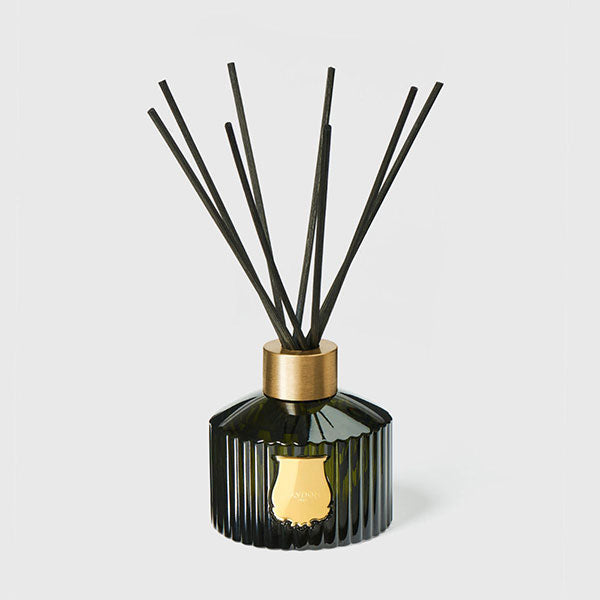LE DIFFUSEUR ERNESTO