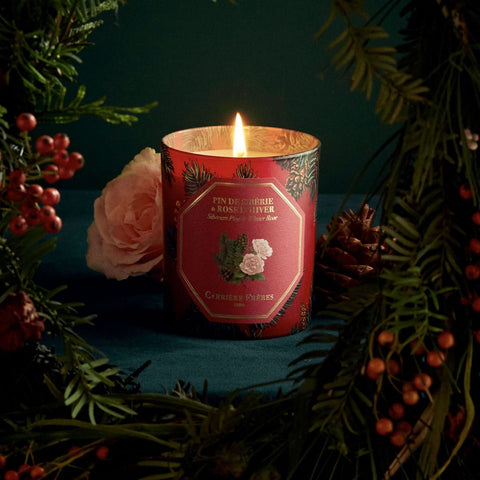 Carrière Frères - Pine & Winter Rose Candle